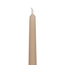 Tapered candles Wenzel candles beige 250/23mm 12pcs