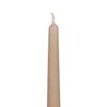 Product Tapered candles Wenzel candles beige 250/23mm 12pcs