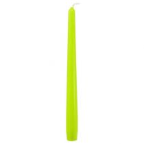 Pointed candles 250/23 light green 12pcs.