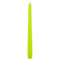 Product Taper Candles 250/23 Light Green 12 Pcs.