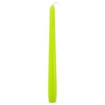 Product Taper candles 250/23 light green 12pcs.