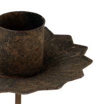 Product Taper candle holder for sticking Ø7cm rust 4pcs