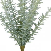 Product Sprengerie Ornamental Asparagus Artificial Plants Green 23cm 4pcs