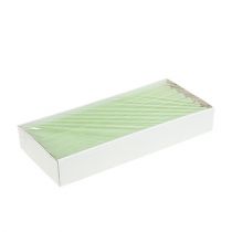 Product Taper candles coloured lime green​​​​​​​ 21×240mm 12 pcs