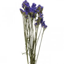 Bunch of Sea Lavender, Dried Flowers, Sea Lavender, Statice Tatarica Blue L46–57cm 23g