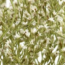 Product Sea lavender Statice Tatarica dried flowers natural 2kg