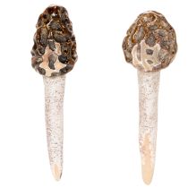 Product Artificial morel mushroom decorative stake for plant pots and table, 13cm, 2 pieces