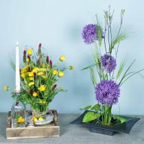 Product Flower hedgehog Kenzan Ikebana brass round Ø 40mm