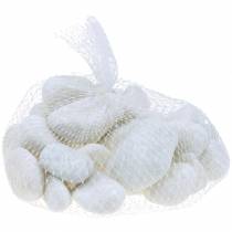 Product River Pebbles Natural White 3-5cm 1kg