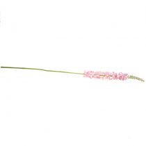 Product Desert tail steppe candle Rosa 106cm