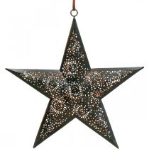 Product Christmas hanger star metal star black H25.5cm