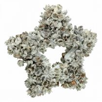 Product Star to hang up Christmas decoration white, glitter Ø15cm