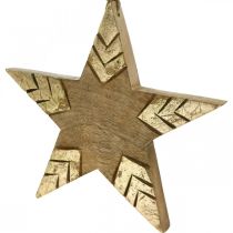 Product Star mango wood natural, golden wooden star large to hang 25cm 2pcs