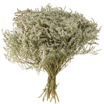 Product Sea lavender Statice Tatarica dried flowers natural 2kg