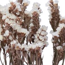 Product White sea lavender (Limonium) dried flowers, 60cm, 35g