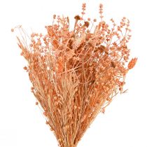 Product Bouquet of dried flowers Orange Apricot dried bouquet 45cm 80g