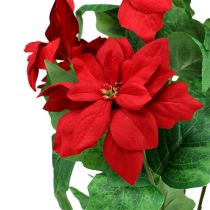 Product Bouquet Poinsettia Red L47cm