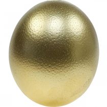 Product Ostrich Egg Decoration Blown Out Easter Decoration Gold Ø12cm H14cm
