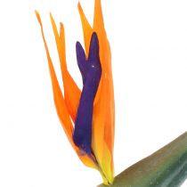 Product Strelitzia Bird of Paradise flower artificially 98cm