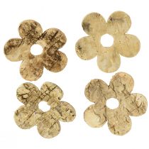 Product Scatter Decoration Wood Bark Flowers Birch Vintage Ø5cm 36 Pcs