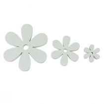 Product Scatter decoration wooden table decoration white flowers Ø2cm–6cm 20 pcs