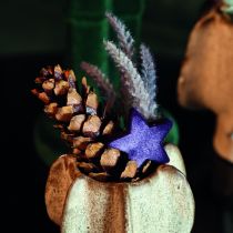 Product Strobus cones 10-15cm varnished 100 pcs