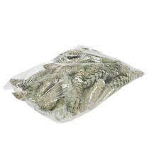 Product Strobus cones decoration apple green white washed 15-20cm 50 pcs