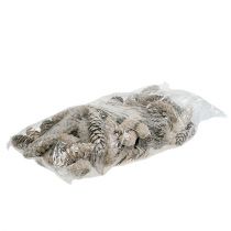 Product Strobus cones 15cm - 20cm whitewashed 50 pcs