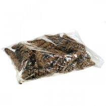 Product Pine cones Weymouth pine Strobus natural mixed 2,5kg