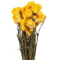 Product Dried yellow strawflower (Helichrysum) dried flower bunch, 100g