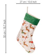 Product Christmas stocking with dachshund motif, 50cm