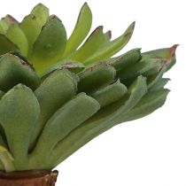 Product Succulent Echeveria Artificial Green Plant Green Ø6cm 10.5cm