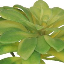 Product Succulent artificial plant with stick Aeonium Green 30cm 4pcs
