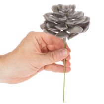 Product Artificial Wax Succulent Set, 10cm, Grey-Green, 6 Pieces
