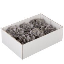 Product Artificial Wax Succulent Set, 10cm, Grey-Green, 6 Pieces