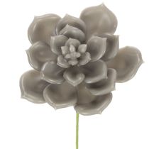 Product Künstliche Waxed Succulent with Wire Stem, Grey-Green, 8cm Diameter, Set of 8