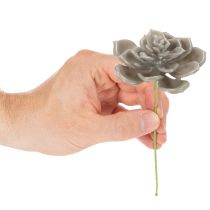 Product Künstliche Waxed Succulent with Wire Stem, Grey-Green, 8cm Diameter, Set of 8