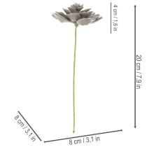 Product Künstliche Waxed Succulent with Wire Stem, Grey-Green, 8cm Diameter, Set of 8