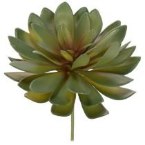 Product Kunststoff Succulents Set Green 18cm 3 Pieces Indoor Decoration