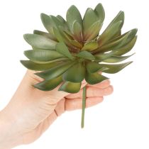 Product Artificial Green Succulent Decoration Set, 18cm, Pack of 3
```html
<h2>Artificial Green Succulent Decoration for Home and Office</h2>
<p>This set of artificial green succulents is versatile and ideal for home and office decoration. Each piece stands at