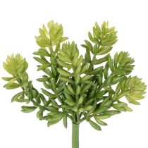 Product Artificial succulent flower for low-maintenance design of living and office spaces, 15cm, 5 pieces