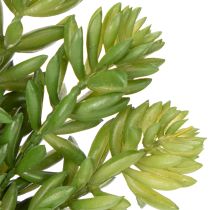 Product Artificial succulent flower for low-maintenance design of living and office spaces, 15cm, 6 pieces