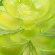 Product Artificial Green Succulent Set for Bowls or Vases, 10cm, 4 Pieces