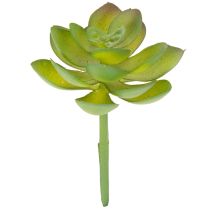 Product Artificial Green Succulent for Indoor Decoration, 9 cm