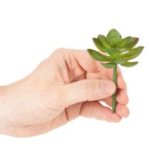 Product Artificial Green Succulent for Indoor Decoration, 9 cm