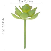 Product Artificial Succulent Plant Green, 9 cm Height, Decorative for Indoor Use
