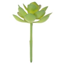 Product Artificial Succulent Plant Green, 9 cm Height, Decorative for Indoor Use