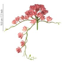 Product Artificial succulent 28 rosettes Aeonium old pink 43cm