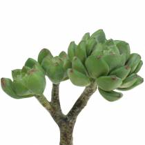 Product Succulent Echeveria artificial Green H15cm