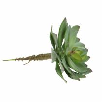 Product Artificial succulent green 27cm